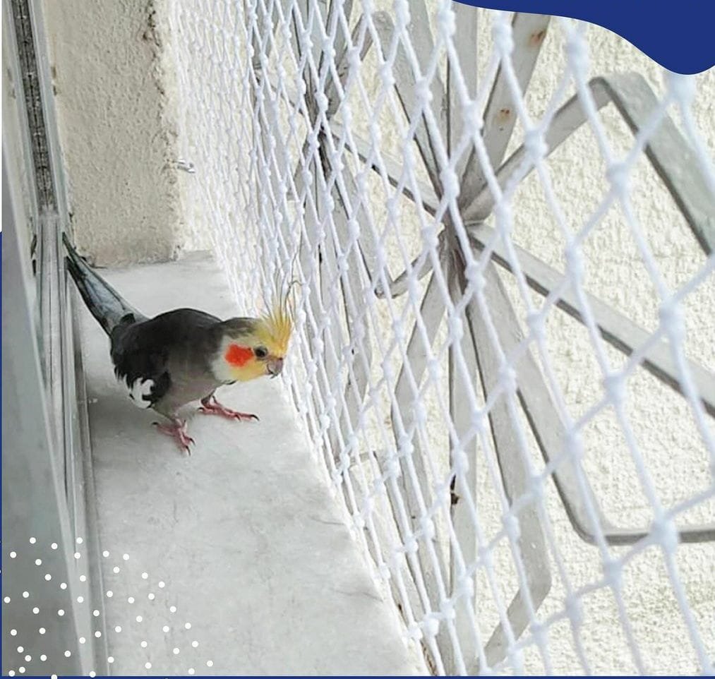 Foto de instalação 2